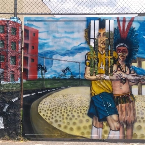A Soltura da Arara Azul