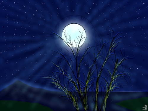 Memórias da Lua