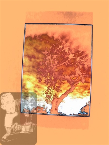 Foto da foto 1