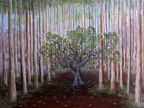 Cerrado na xapoeira