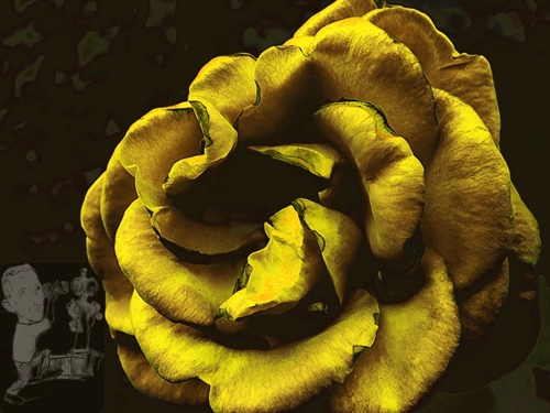 Flor volumosa