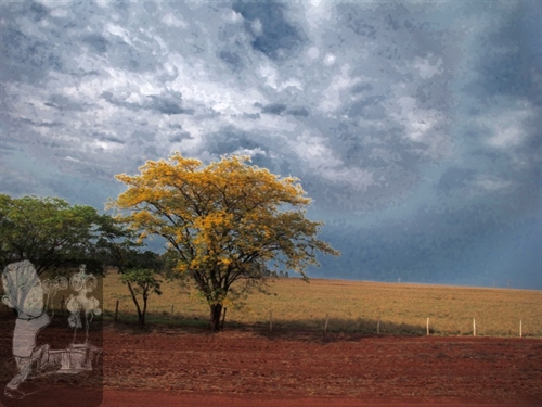 Chão e céu 3