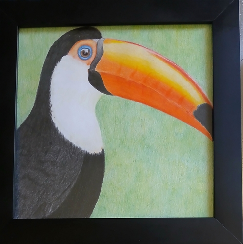 O Tucano