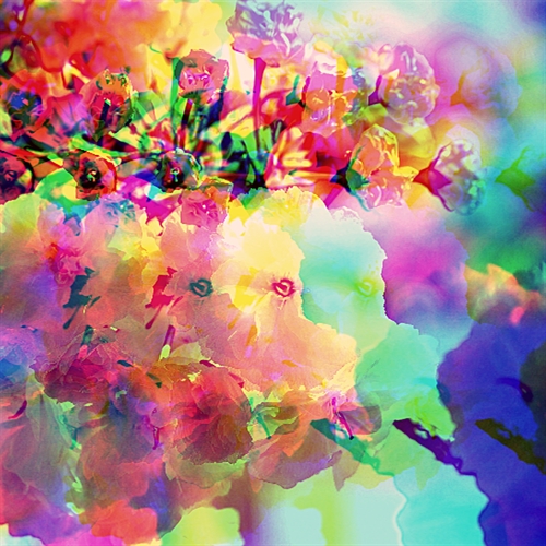 flowers in psychedelia.