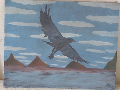 Águia Voando Sobre o Mar