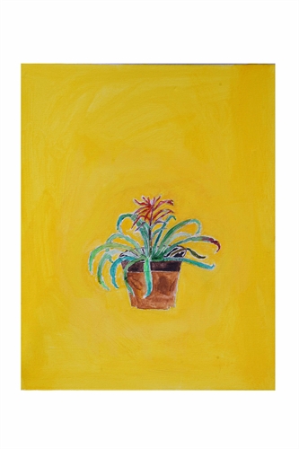 Bromélia