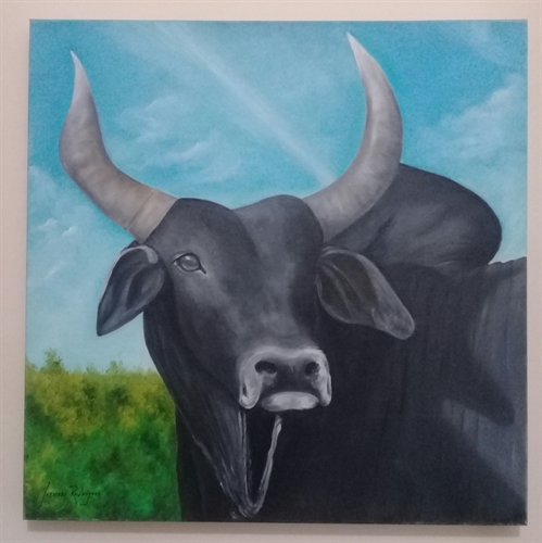 Taurus