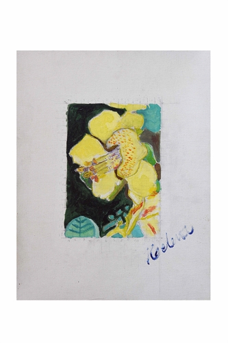 Orquídea