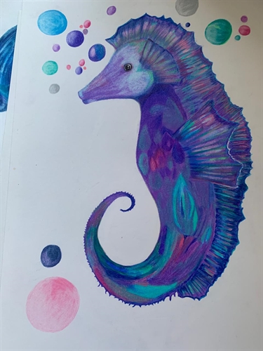 Coleção Oceano-- Cavalo Marinho