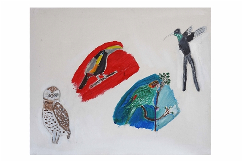 Aves