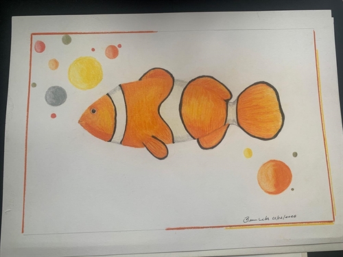 Coleção Oceano-  Clown