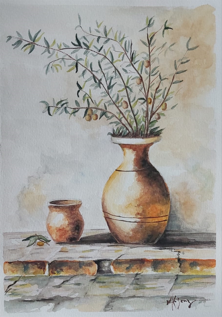 Oliveira em vasos de barro