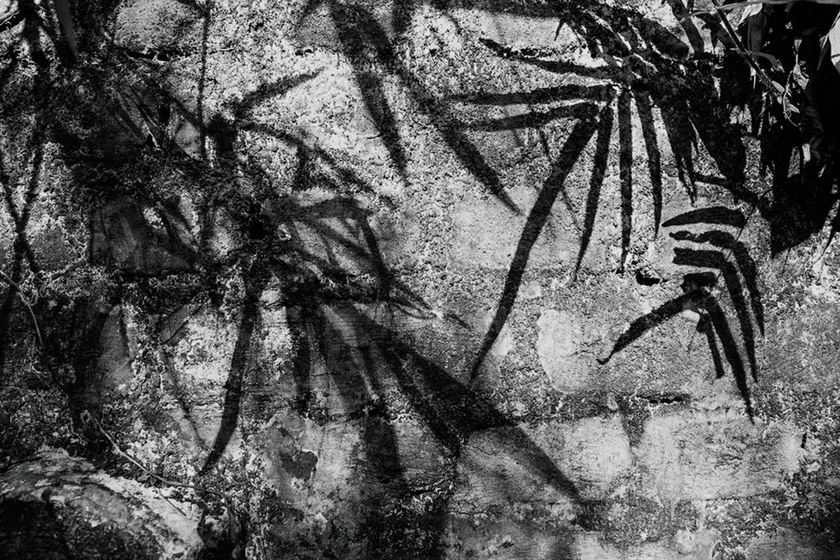 SOMBRA E TEXTURA 9070 PB