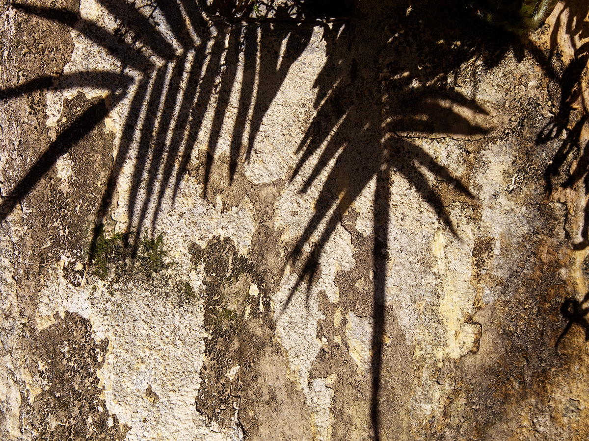 SOMBRA E TEXTURA 0393