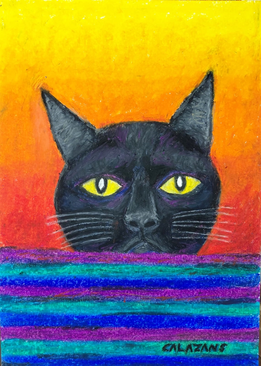 Vigilante das Cores