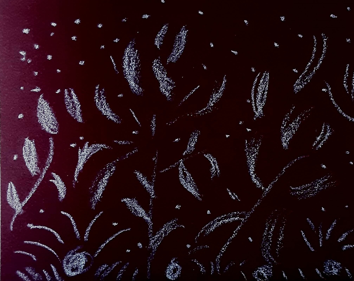 Jardim de Estrelas