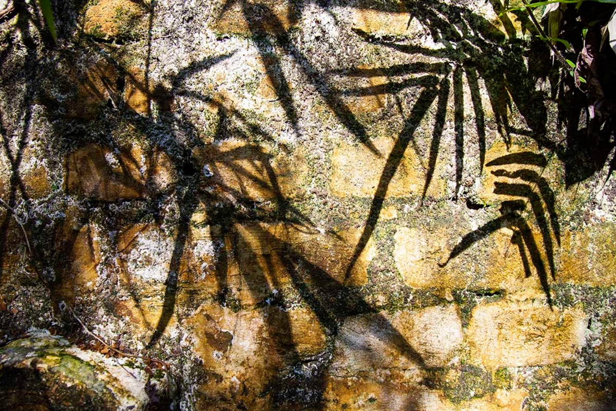 SOMBRA E TEXTURA 9070