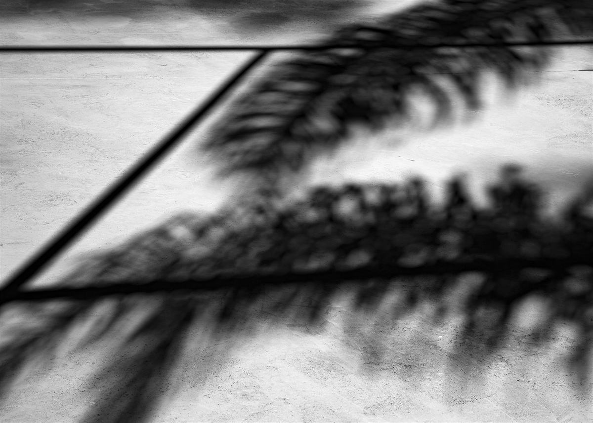 SOMBRAS GEOMÉTRICAS 0117
