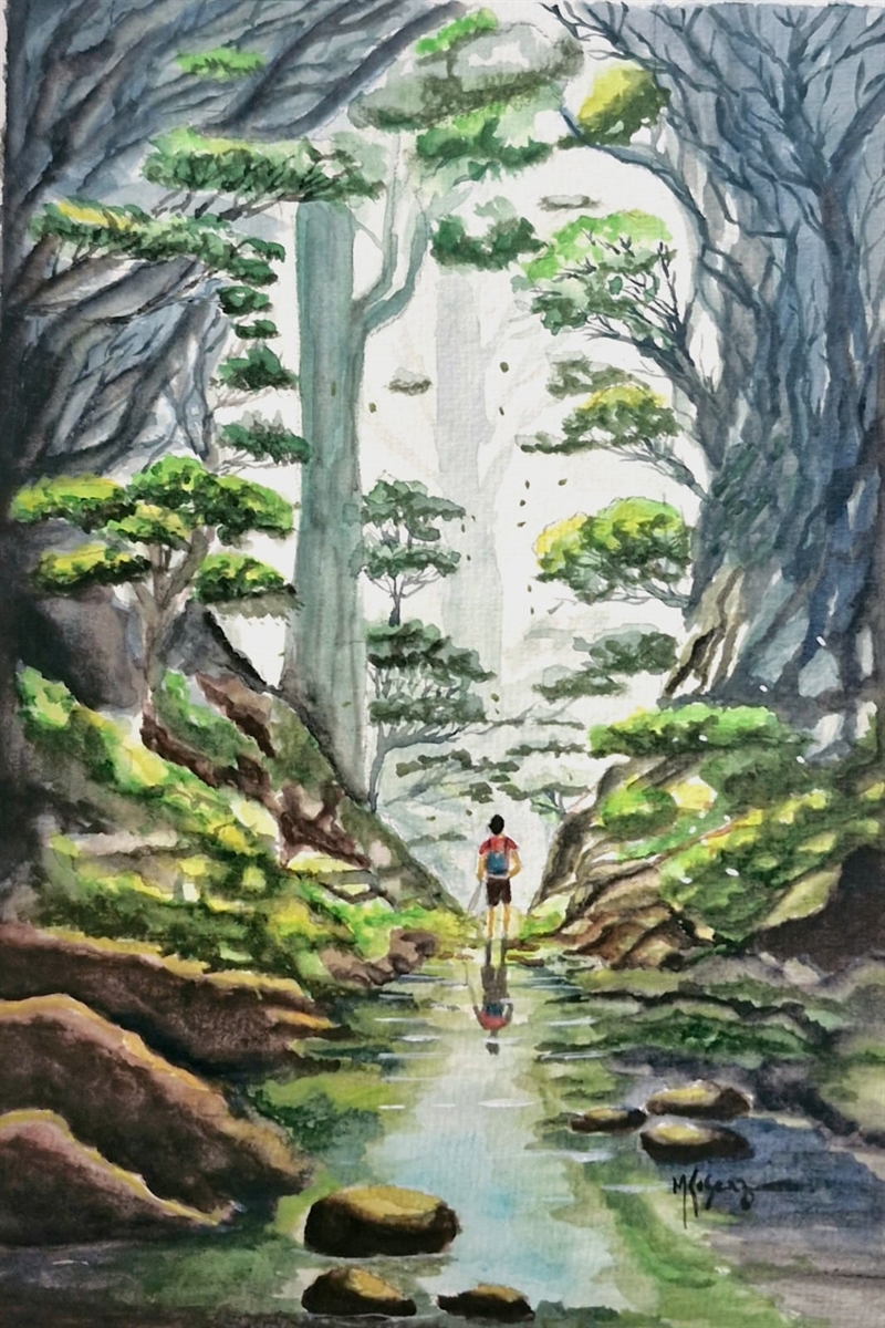 Expedição em Floresta Exuberante