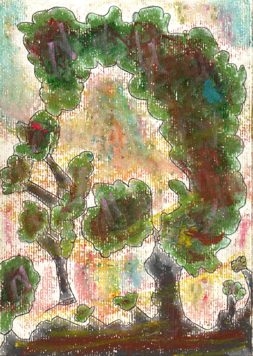 Bosque De Outono