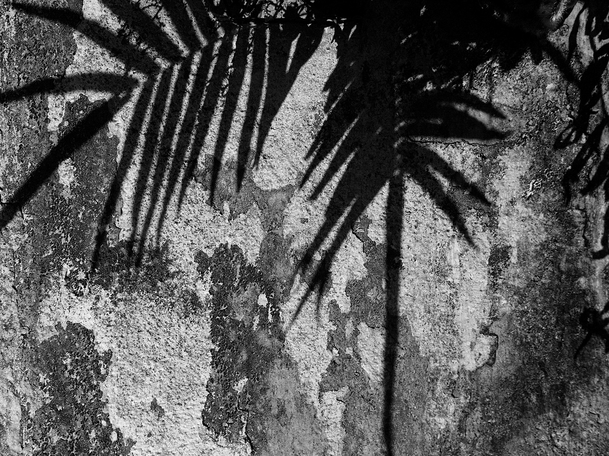SOMBRA E TEXTURA 0393 PB