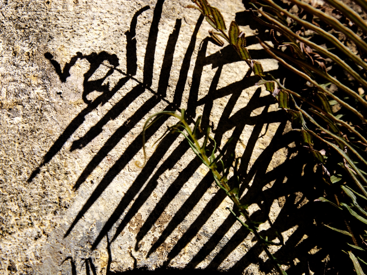 SOMBRA E TEXTURA 0394