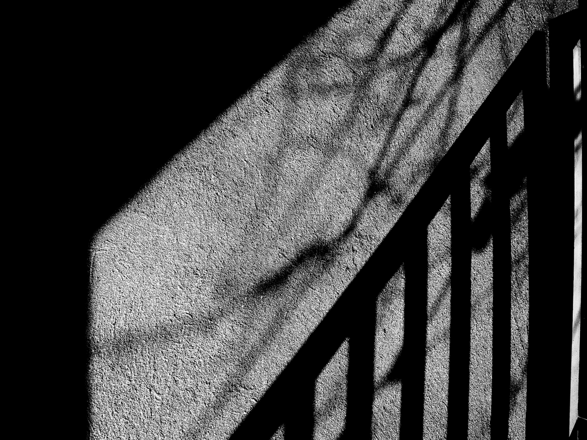 SOMBRAS GEOMÉTRICAS 9833