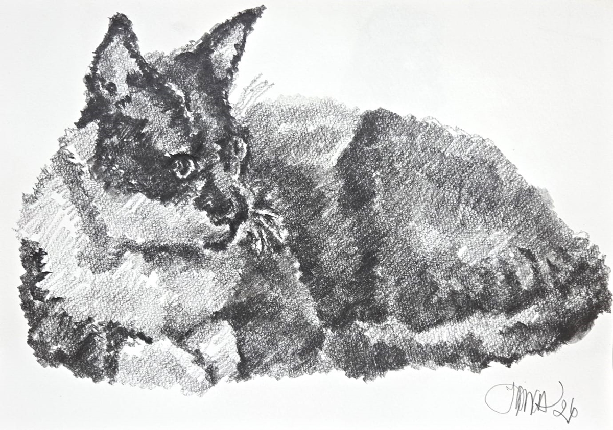 Gato do Porão Cultural