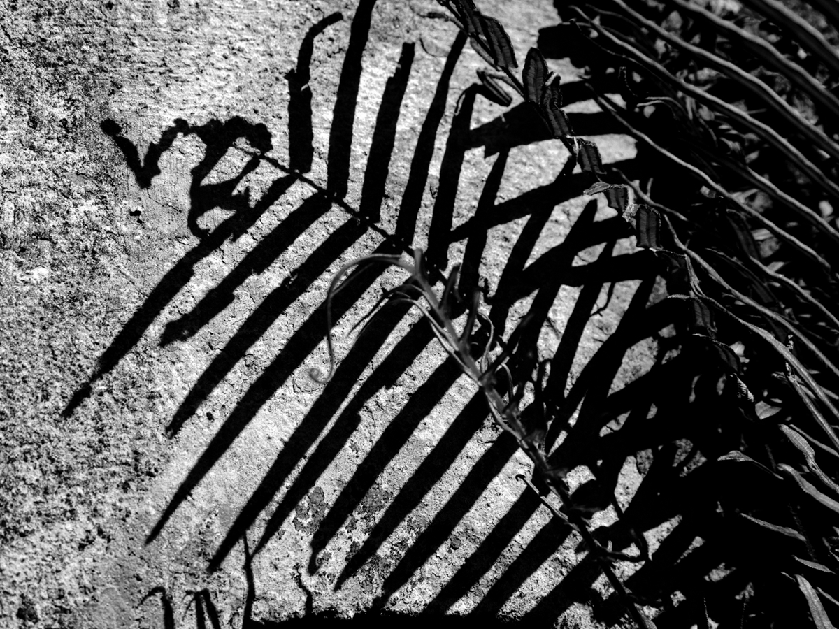 SOMBRA E TEXTURA 0394 PB