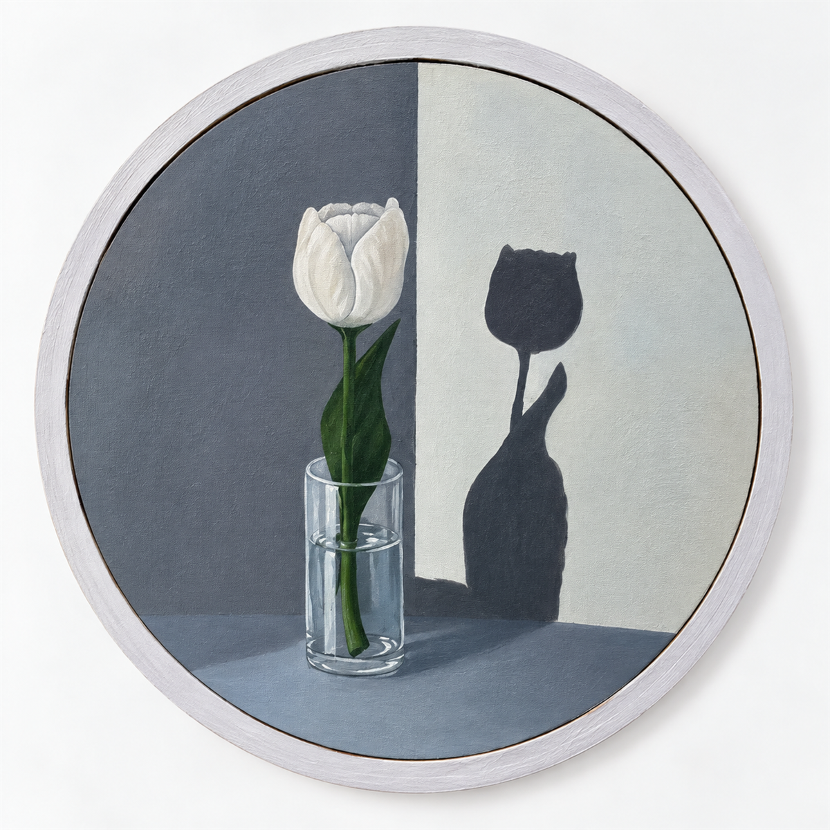 Tulipa