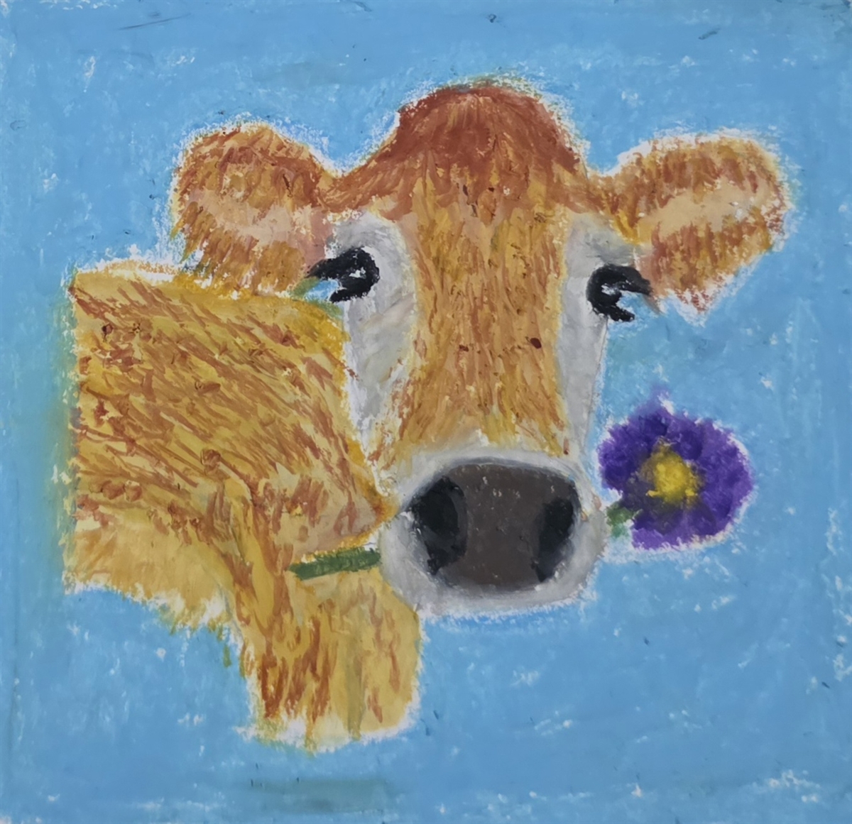 mooo ♡