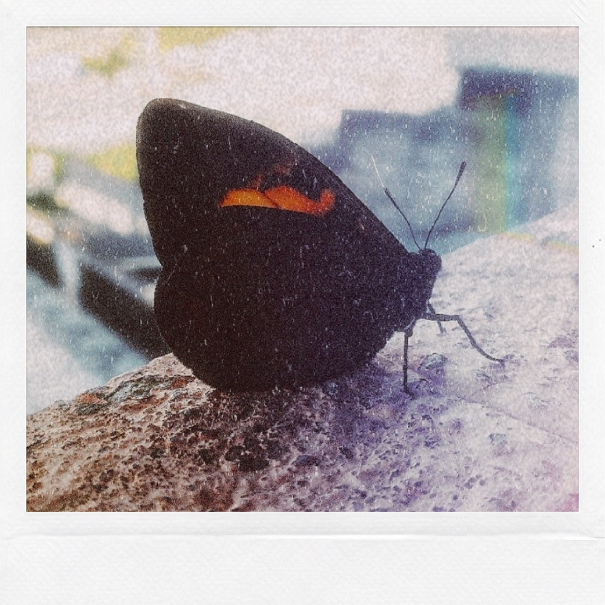 Efeito Borboleta