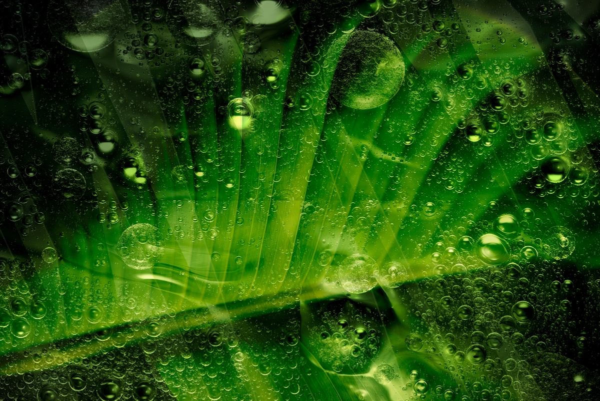 Membrana Orgânica