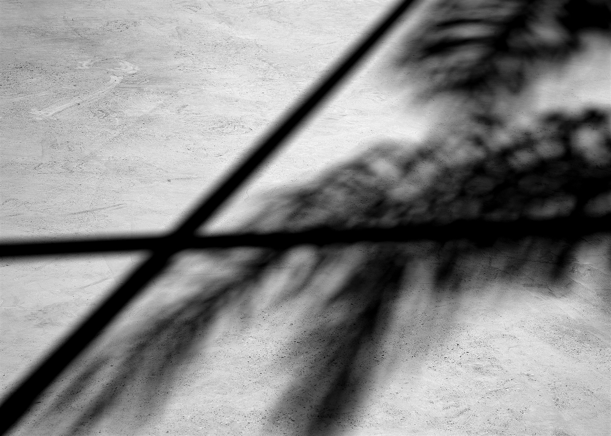 SOMBRAS GEOMÉTRICAS 0118